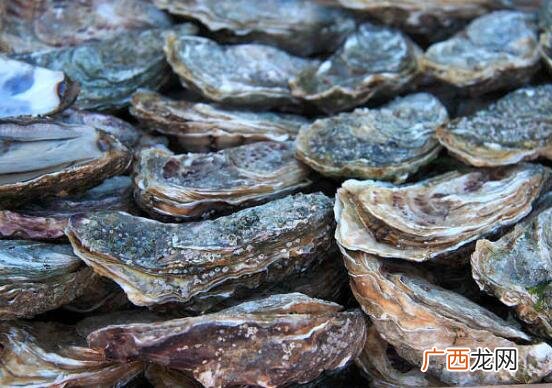 牡蛎和海蛎的营养价值区别 牡蛎和海蛎的区别
