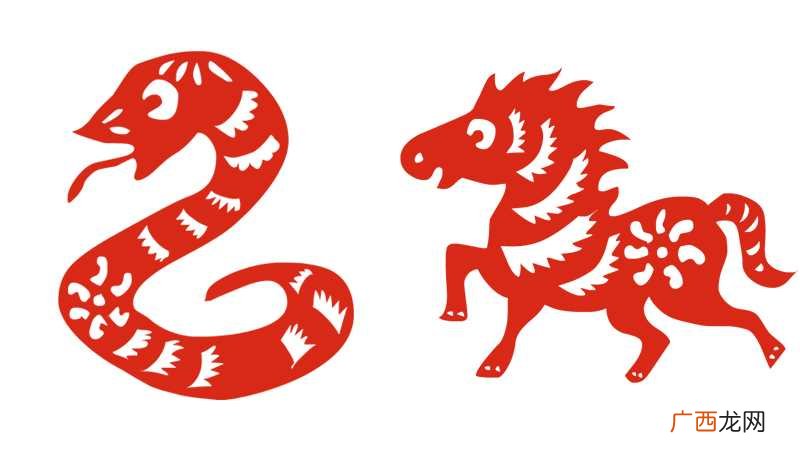 女属蛇和男属马相合不合 属蛇跟属马的合不合