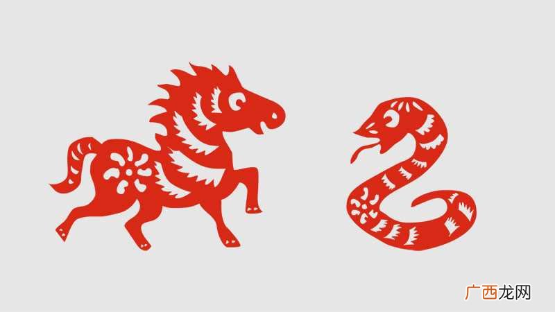 属蛇和属马婚配如何 属蛇与属马相合吗