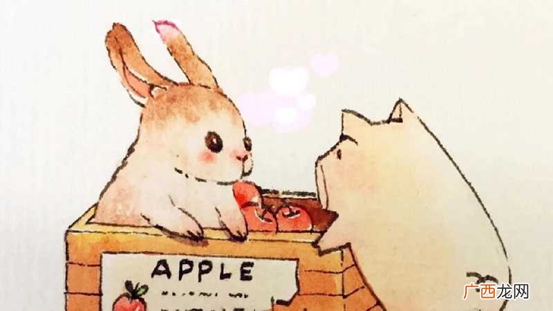 如果属猪的人和属兔的人有缘能够在一些特殊的情况下相遇 属猪和属兔合不合