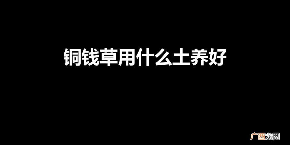 怎样养铜钱草 铜钱草用什么土养好