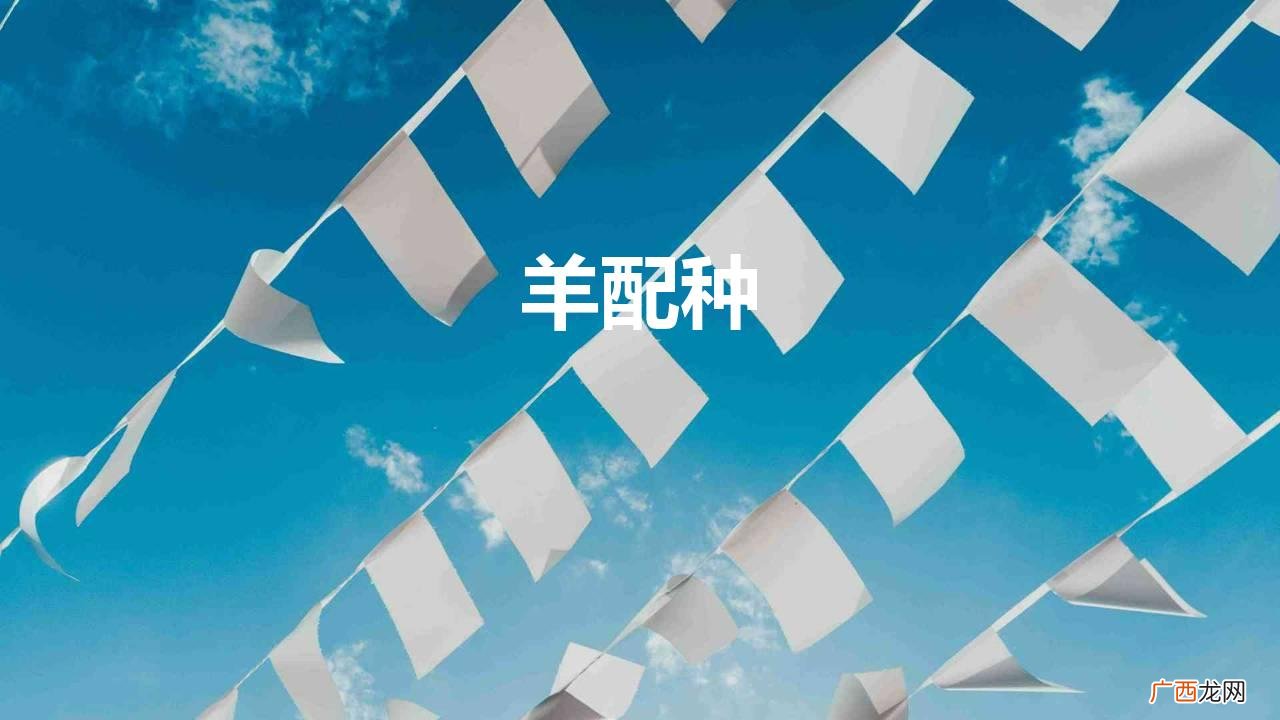 配羊是怎么配的？ 羊配种