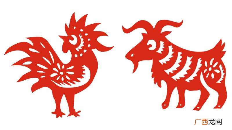属鸡和属羊的属相合不合 属羊和属鸡属相合不合