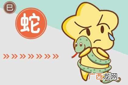 2022年属蛇人的财运 属蛇的年份及年龄