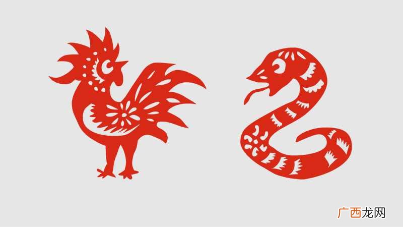 属蛇跟属鸡的人结婚属相合不合适 属蛇跟属鸡的人结婚属相合不合