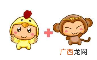 属鸡男和属猴女的适合做夫妻吗 属猴女和属鸡男的适合做夫妻吗