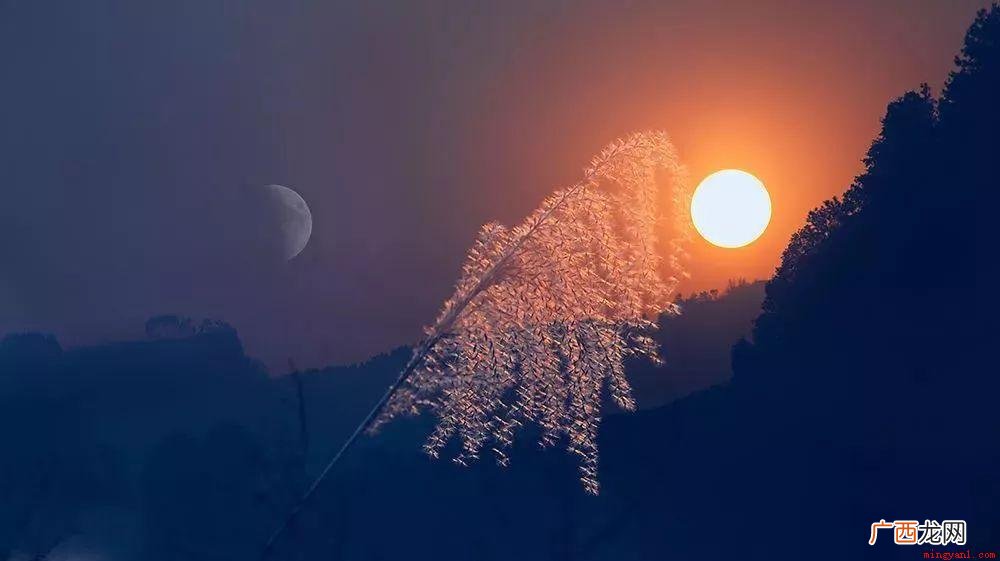 花儿和蜜蜂好,花儿给他一个甜蜜的拥抱 谁和谁好仿写句子有哪些