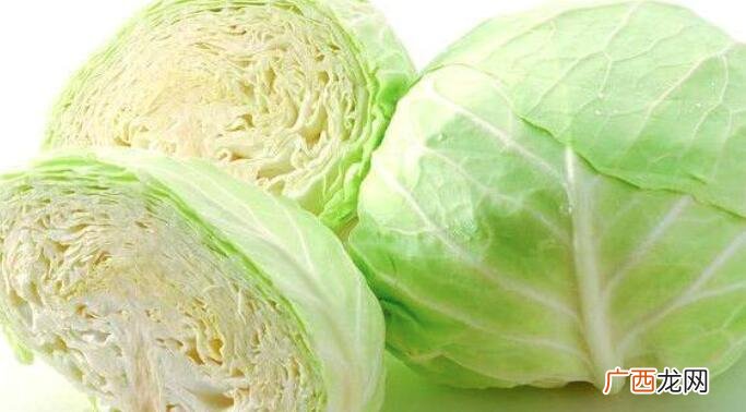 包菜和高丽菜的营养价值区别 包菜和高丽菜的区别