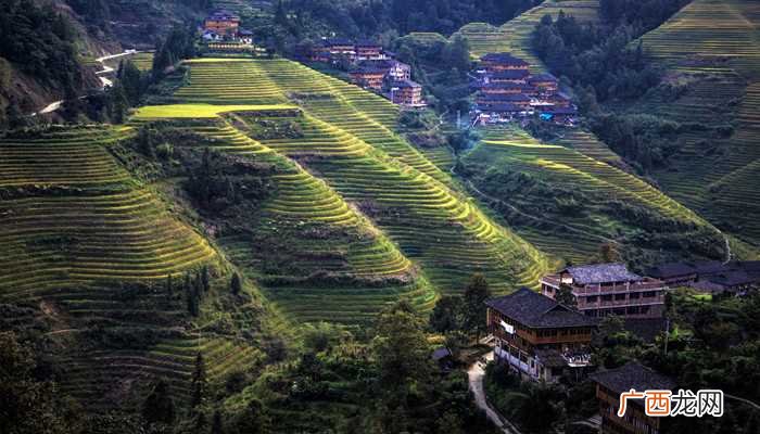 壮族歌圩是壮族群众在特定时间、地点举行的节日性聚会歌唱活动形 壮族歌圩是什么