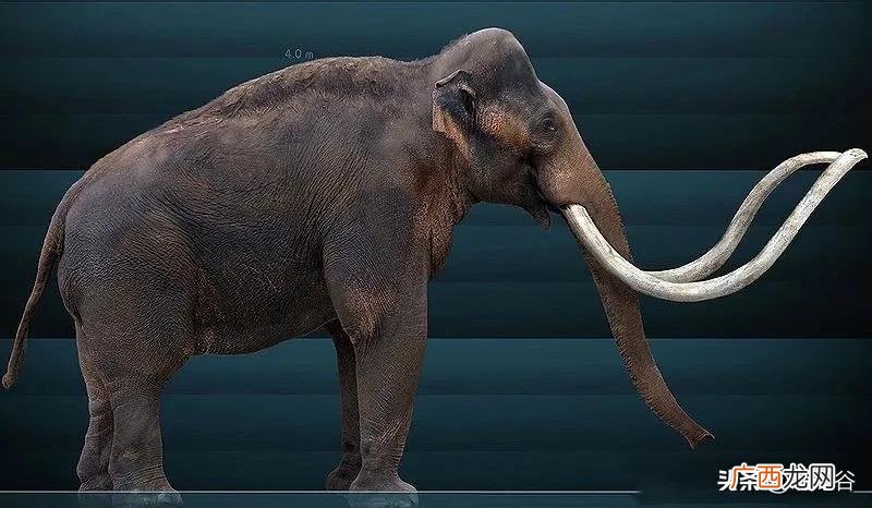 真山海经 太古代十大恐怖生物