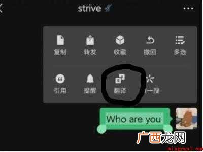 演示机型:Iphone 12 微信自动翻译功能