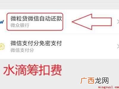 演示机型:Iphone 12 水滴筹怎么取消自动扣款
