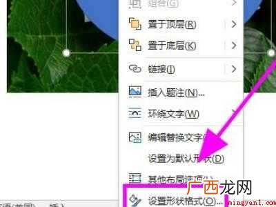 word中图片画圈标注的具体操作步骤 word中图片画圈标注