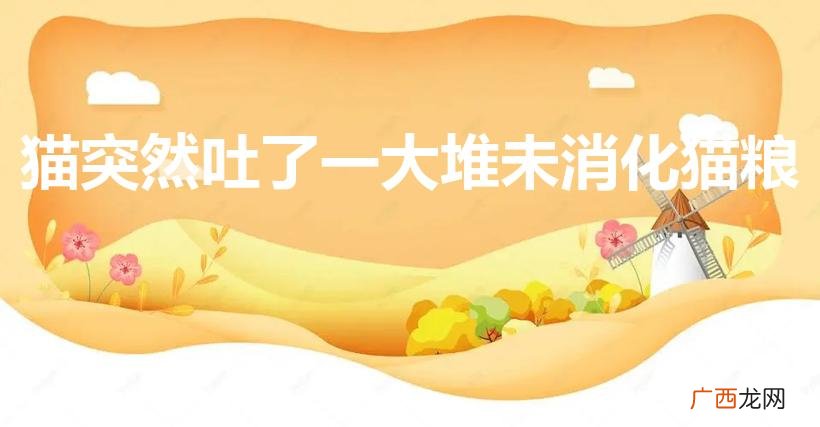猫突然吐了一大堆未消化猫粮
