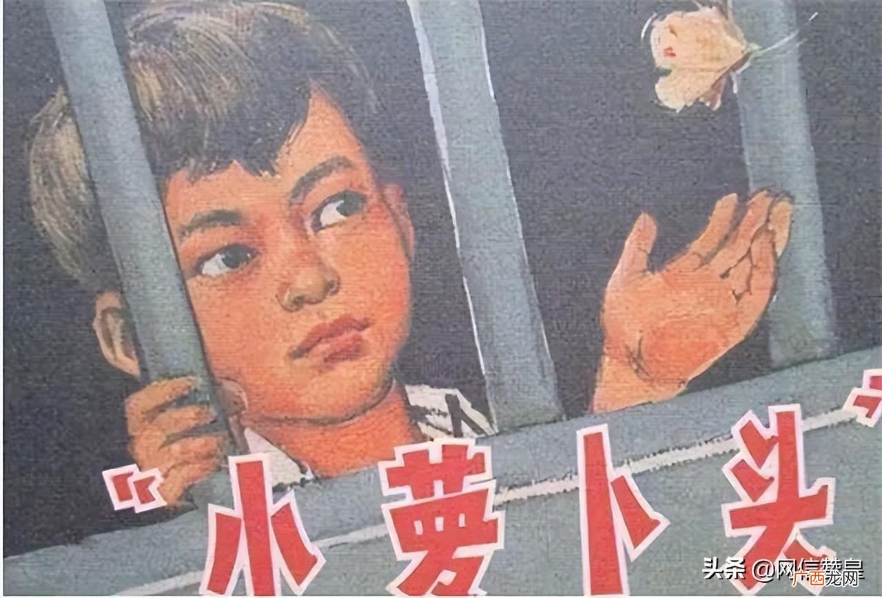 红色故事小萝卜头的故事 小萝卜头的故事英雄事迹