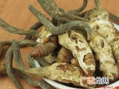 干金蝉花食用前怎么清洗的具体操作步骤 干金蝉花食用前怎么清洗