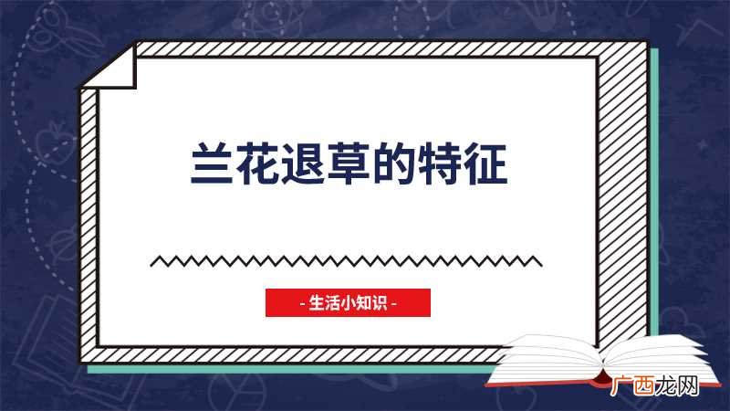 兰花退草表现为兰花的叶片从叶尖或叶片边缘开始 兰花退草的特征