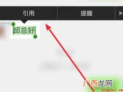 演示机型:Iphone 12 微信群怎么回复某一个人的消息