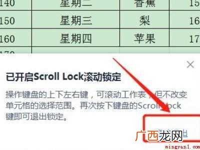 excel表格上下左右键不换格的具体操作步骤 excel表格上下左右键不换格