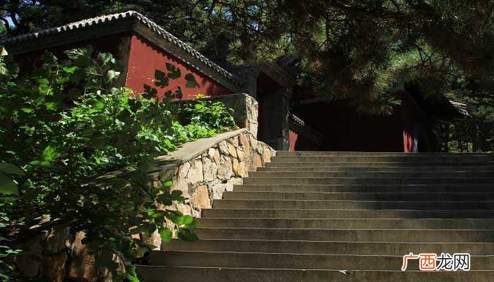 河南嵩山少林寺13武僧帮助唐太宗统一天下后 南少林在哪里