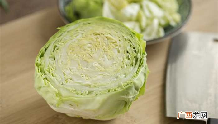 高丽菜是什么菜图片 高丽菜是什么菜
