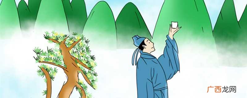 赏花赏月赏桂香的上一句 赏花赏月赏秋香下一句是什么