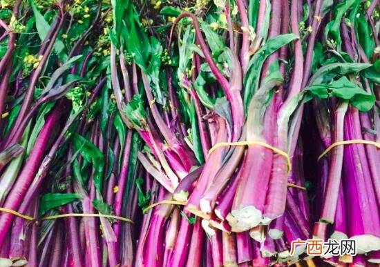 红菜薹怎么炒