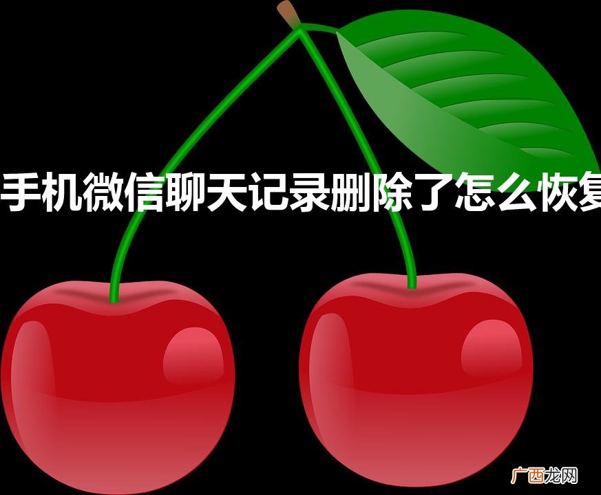 手机微信聊天记录删除了怎么恢复（手机微信删除的聊天记录怎么找回)