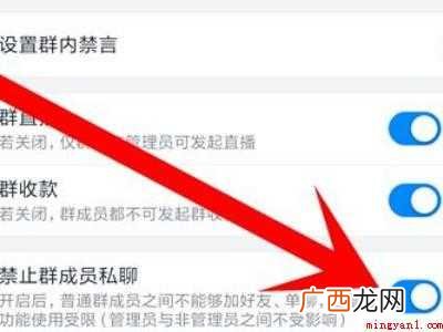 演示机型:Iphone 12 钉钉群签到功能不见了