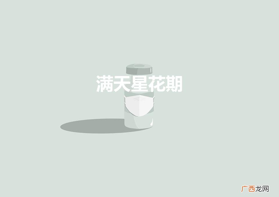 满天星花期（满天星花什么样子)