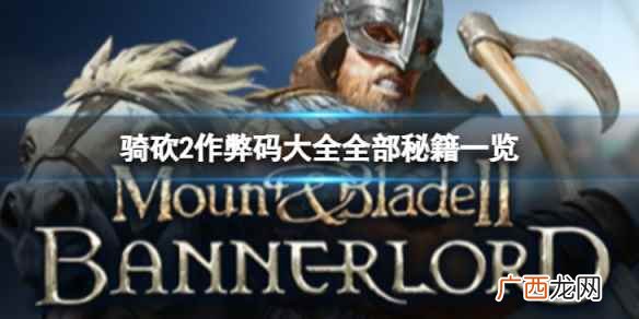 steam骑马与砍杀2秘籍怎么开 骑马与砍杀2秘籍介绍