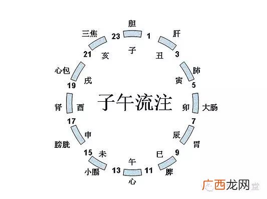 晚上11点半出生是子时 晚上11点半出生是什么时辰