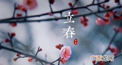 立春过后就是第二年的生肖吗 立春后才算一个生肖吗