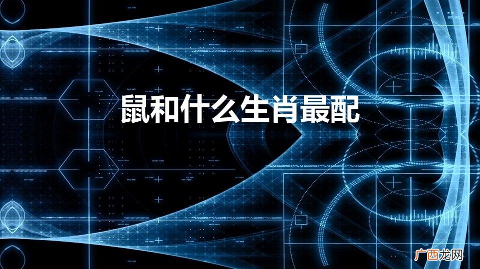 鼠和什么生肖最配财运最佳 鼠和什么生肖最配
