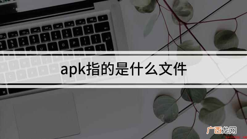 以apk结尾的是什么文件 apk指的是什么文件