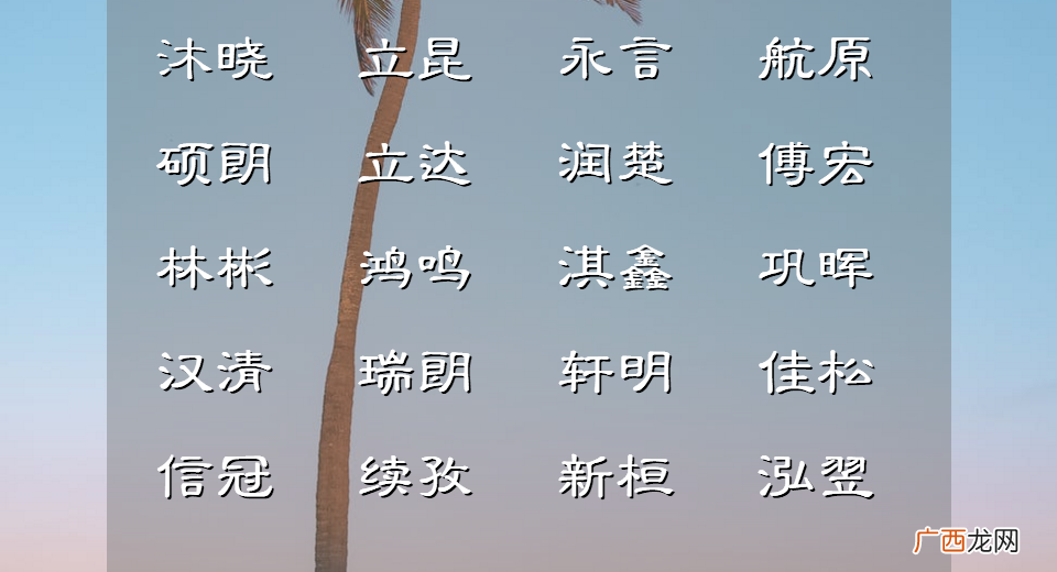 才气如朗朗的男孩名字尽显男子才华 男孩才华横溢的好名