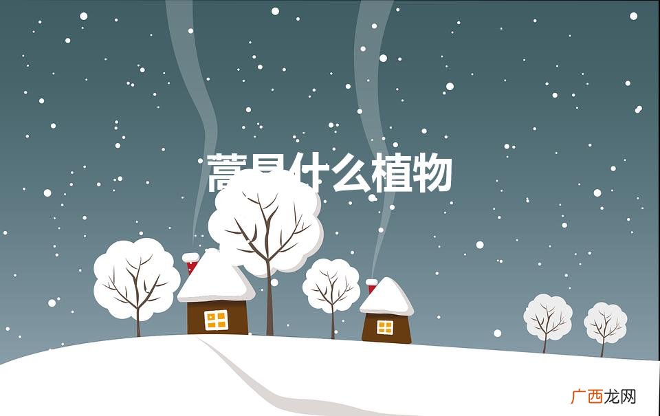 辣椒种子什么品种好 蒿是什么植物