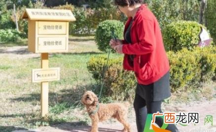 北京养狗证在哪里办理 北京养狗证在哪办理2022
