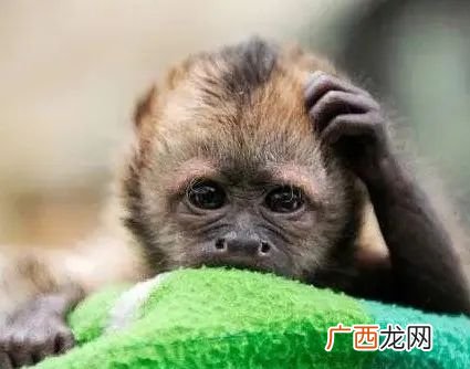 教你怎样快速去头皮屑的方法 头皮屑多如何去除小妙招