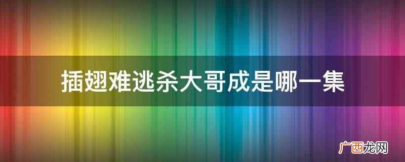 《插翅难逃》中的大哥成是张子强 插翅难逃杀大哥成是哪一集
