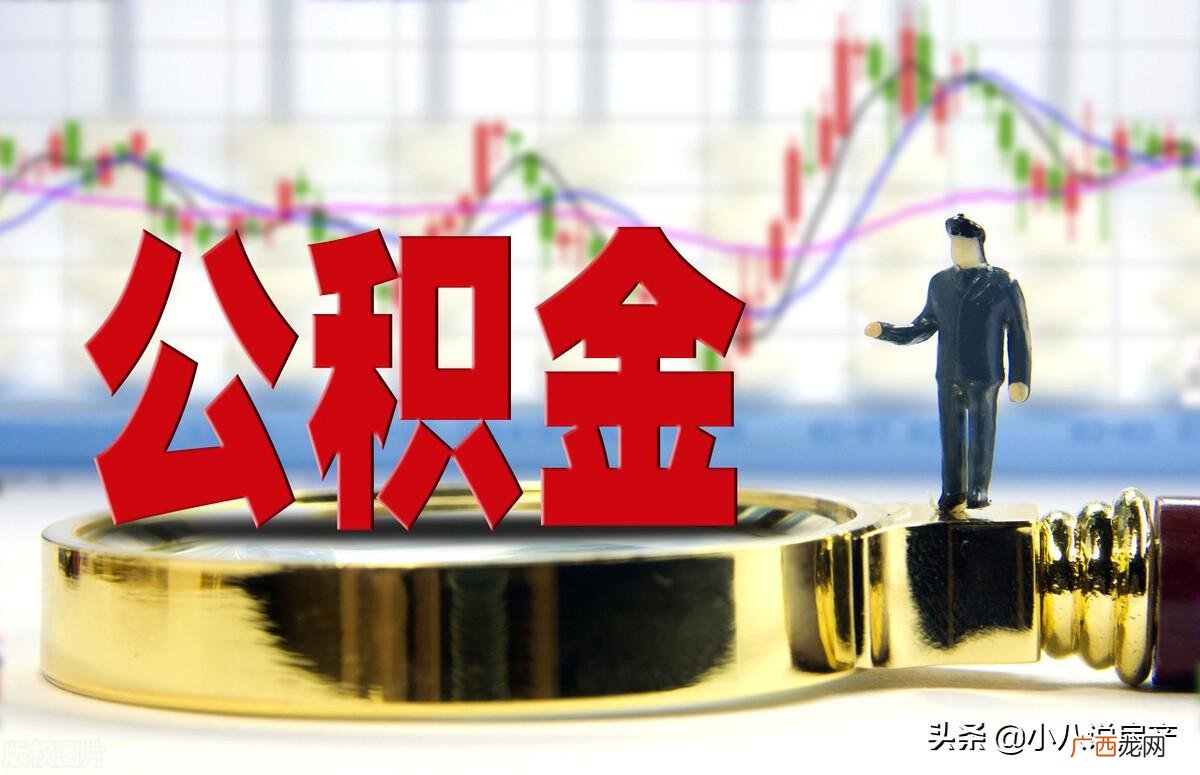 根据3种情况选择是否提取 公积金是不是尽量不要提出来