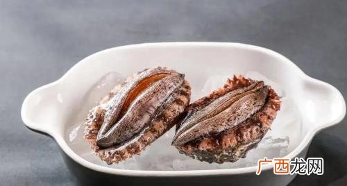 鲍鱼主要吃它的头部还是足部 鲍鱼的足部在哪