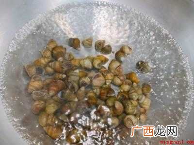螺丝肉怎么清洗才能清洗干净