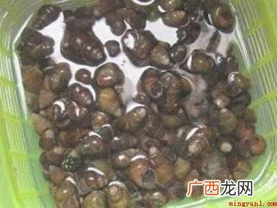 螺丝肉怎么清洗才能清洗干净