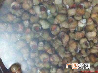 螺丝肉怎么清洗才能清洗干净