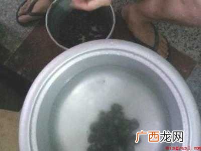螺丝肉怎么清洗才能清洗干净