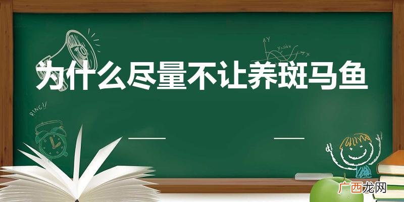 斑马鱼为啥越养越少 为什么尽量不让养斑马鱼