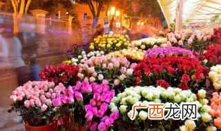 室内十大最香的花排行榜 室内最香最好养的花是什么花