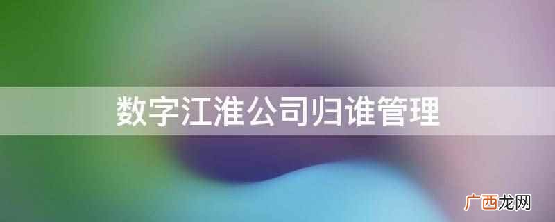 数字江淮公司归科大讯飞与安徽省管理 数字江淮公司归谁管理