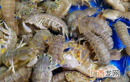 怎么剥不扎手的皮皮虾视频 吃皮皮虾怎么剥皮不扎手